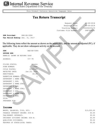 Sample IRS Tax Return Transcript